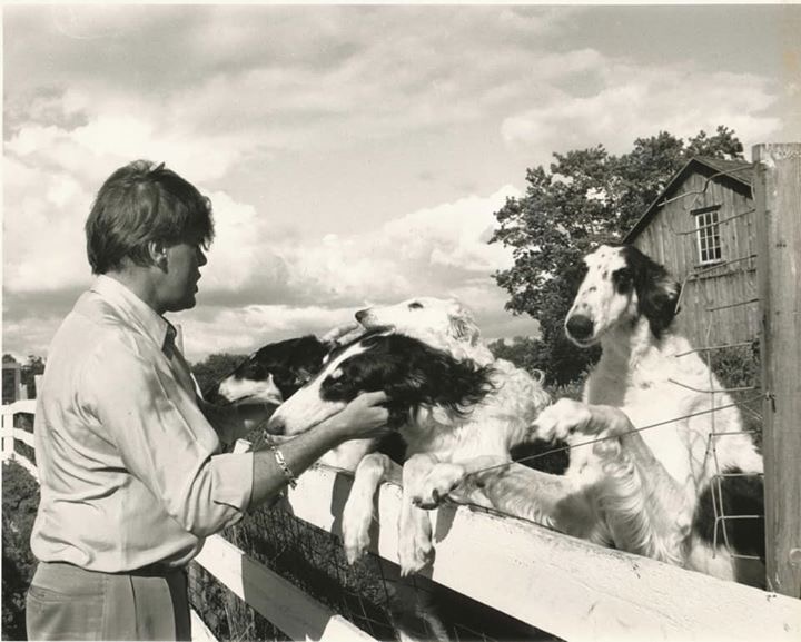 borzoi